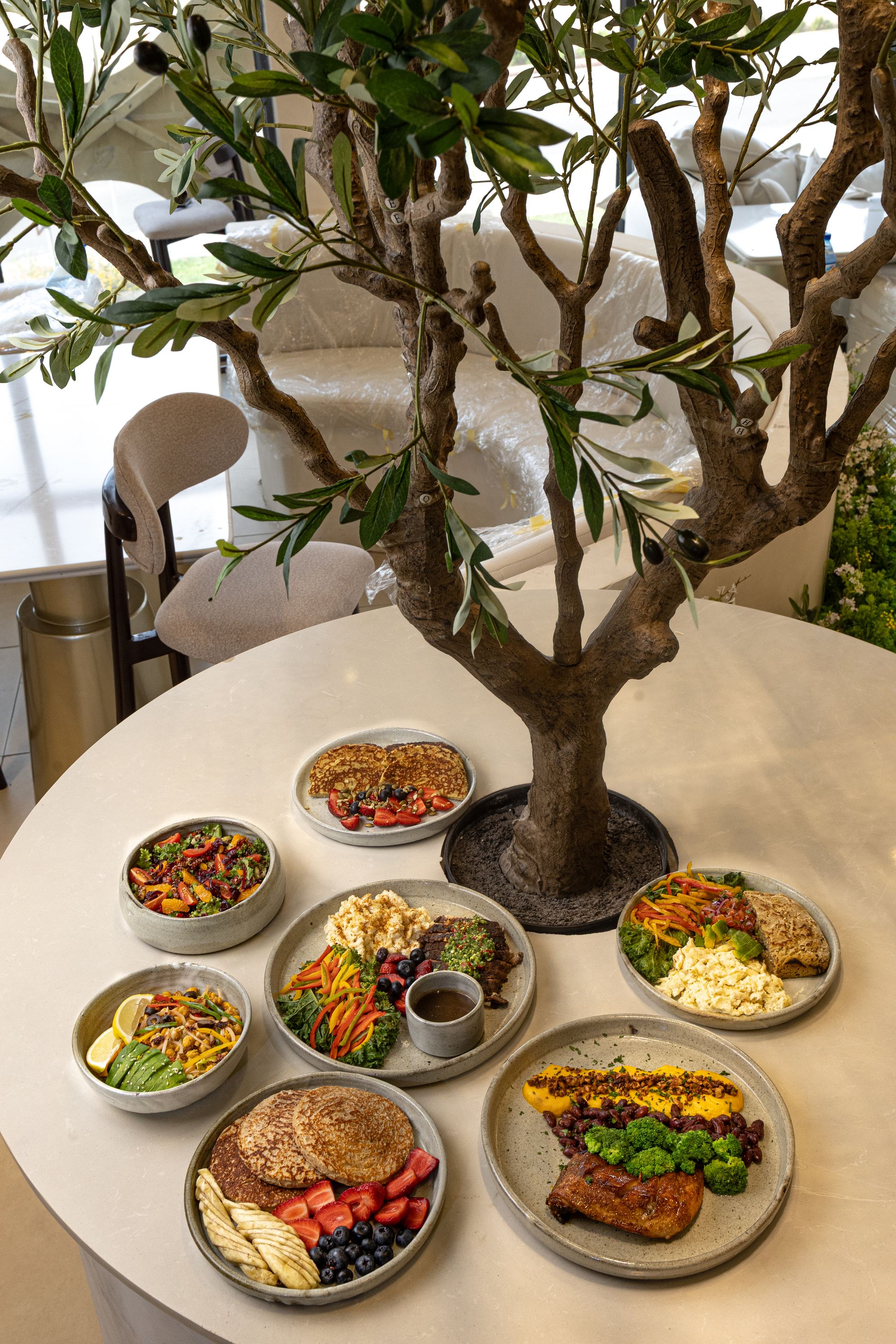The Wellnex spread — eight dishes laid around the olive tree