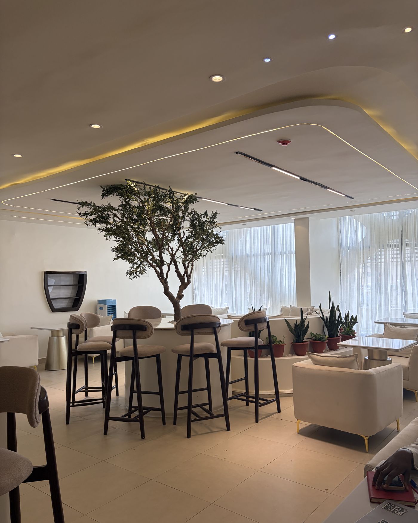 The Wellnex dining room — olive tree at the centre, curved seating, soft light